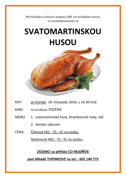 svatomartinskou husou - Praha