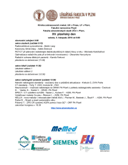 plzensky_den_2016 - XV. plzeňsk&yacute; den