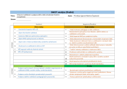 SWOT anal&yacute;za (fin&aacute;ln&iacute;)