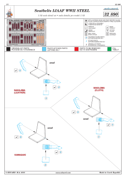 32890_%_2_SeatbeltsIJAAFSTEEL NAV