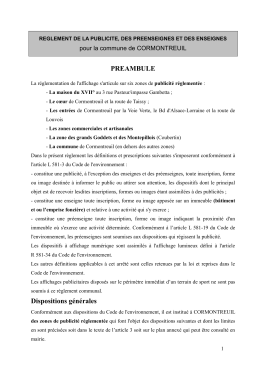 R&egrave;glement Local de la Publicit&eacute; des enseignes et pr&eacute;