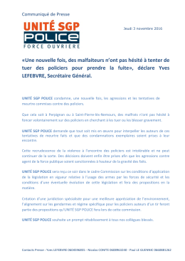 T&eacute;l&eacute;charger le fichier PDF