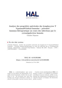 Analyse des propri&eacute;t&eacute;s antivirales des lymphocytes T - Tel