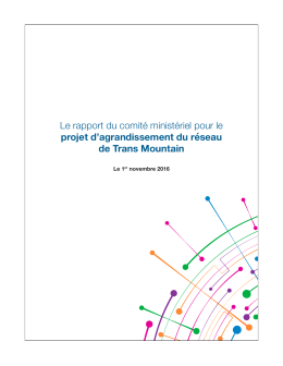 Rapport du comité ministériel - Ressources naturelles Canada