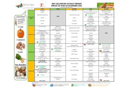 menu self novembre 2016