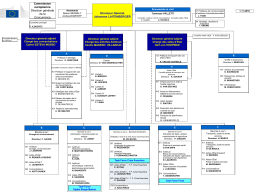Directeur Général Johannes LAITENBERGER Commission