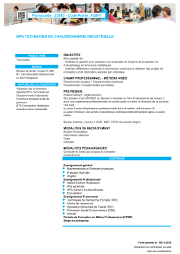 Formacode : 23083 - Code Rome : H2911 BPN TECHNICIEN EN