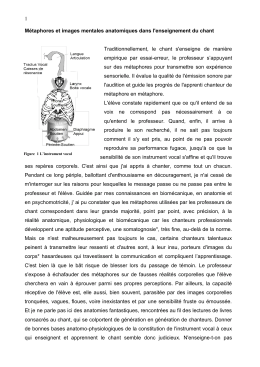1 M&eacute;taphores et images mentales anatomiques dans l