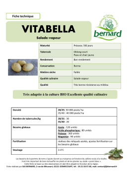 fiche technique culture vitabella