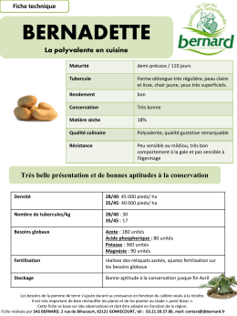 Fiche technique culture bernadette