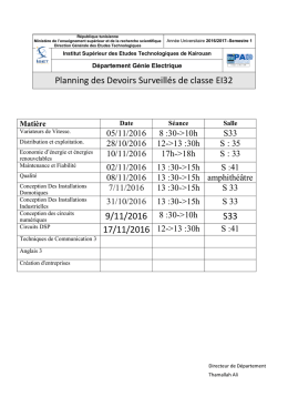 Planning des Devoirs Surveillés de classe EI32 S33