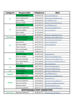Cat&eacute;gorie Responsable T&eacute;l&eacute;phone Mail RESPONSABLE FOOT