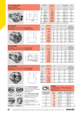 R-134-UEO-SG O-Ring aussen / schweiss