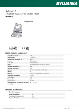 SYLFLOOD 1 Extensif HSI