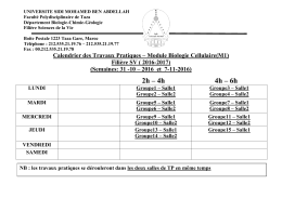 2h – 4h 4h – 6h