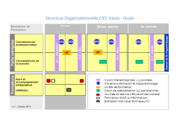 Structure Organisationnelle CIFC Valais