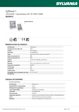SYLFLOOD 1 Asym&eacute;trique HSI