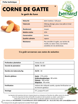 Fiche technique culture corne de gatte