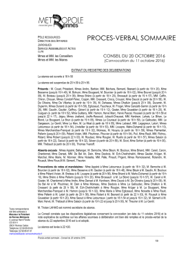 proces-verbal sommaire