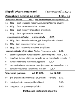 Slepačí vývar s rezancami ( samostatná)1.30