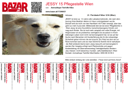 JESSY 15 Pflegestelle Wien