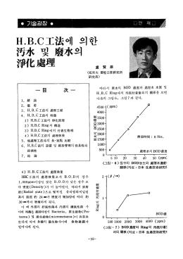 Page 1 Page 2 BOD量의 地官加에 따라 伊春되는 海流(Sludge) 後解