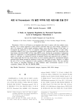 세포 내 Thioredoxin 1의 발현 저하에 의한 세포사멸 조절 연구