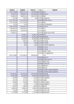 차변잔액 차변합계 차변소계 코드 계정과목 4,073,176,806