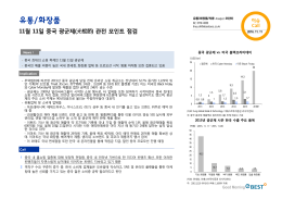 11월 11일 중국 광군제