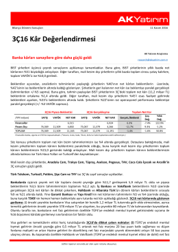 3Ç16 Kâr Değerlendirmesi