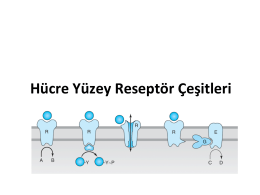 G Protein Eşlikli Reseptörler