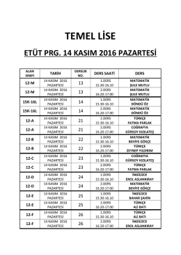 TEMEL LİSE