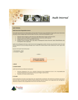 Audit Internal Audit Internal