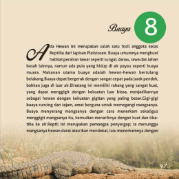 Bab 8 - Ditjen Kebudayaan