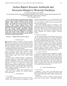 Isolasi Bakteri Resisten Antibiotik dari Kawasan Mangrove