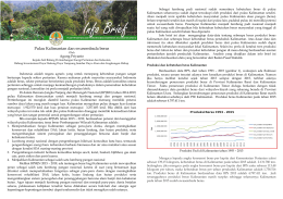 20161109_Info Brief_Pulau Kalimantan dan Swasembada Beras