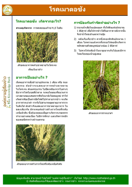 โรคเมาตอซัง เกิดจากอะไร?