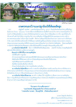 ฉบับที่ ๒๙ เพิ่มผลผลิตอ้อย