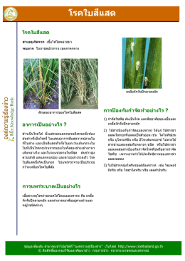 โรคใบสีแสด