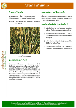 โรคกาบใบแห้ง