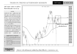 14 November_Tiger In