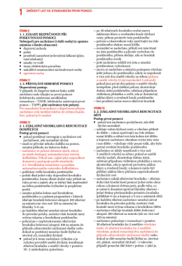 STRANA 9 1. 1. Z&Aacute;SADY BEZPEČNOSTI PŘI POSKYTOV&Aacute;N&Iacute;