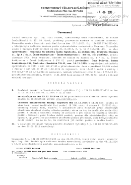 Usnesení - exekuce