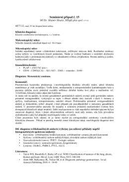 Seminární případ č. 15