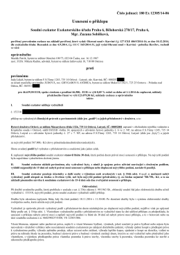 Usnesen&iacute; o př&iacute;klepu