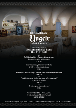 Svatomartinsk&aacute; husa