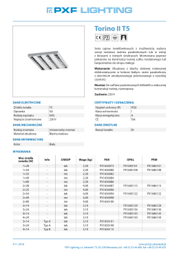 Torino II T5 - PXF Lighting