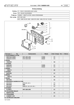 Kod tabeli: R X1 10409/01-001 Nr Drukuj katalog