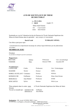 Soutenance de thèse de David Tumbajoy