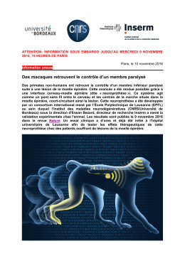 CP Bezard